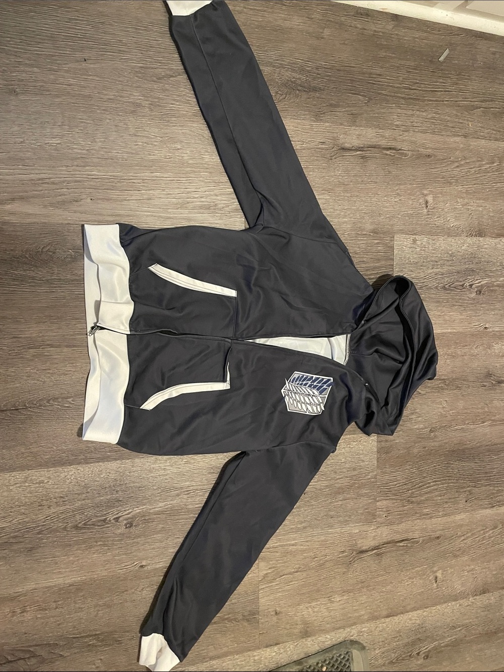 AOT Survey Corps Crest Hoodie